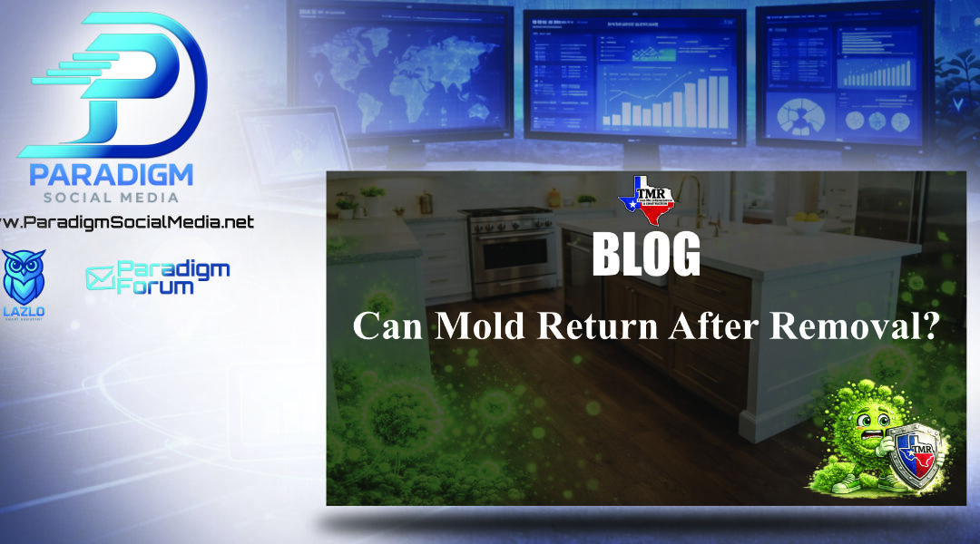 Can Mold Return After Removal?