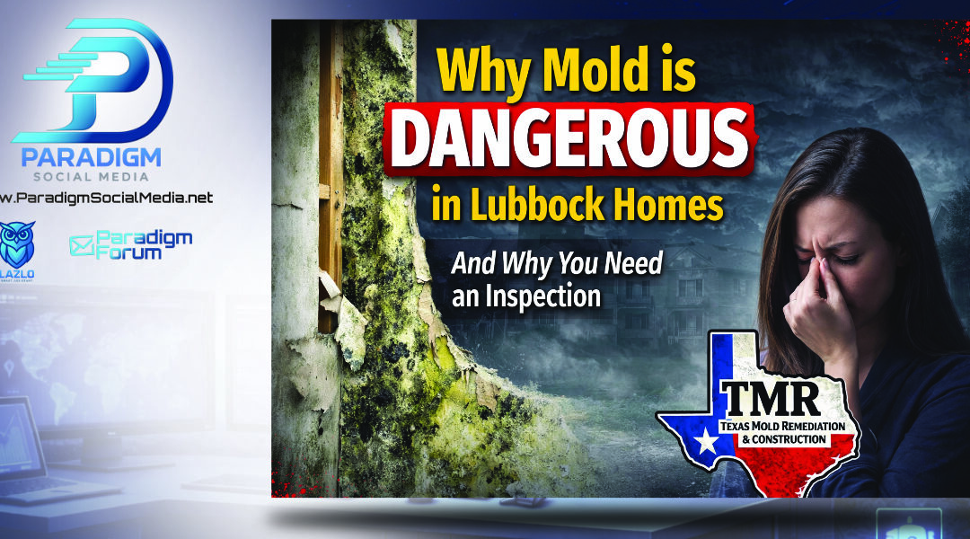 Why Mold is Dangerous in Lubbock Homes and Why You Need an Inspection