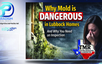 Why Mold is Dangerous in Lubbock Homes and Why You Need an Inspection