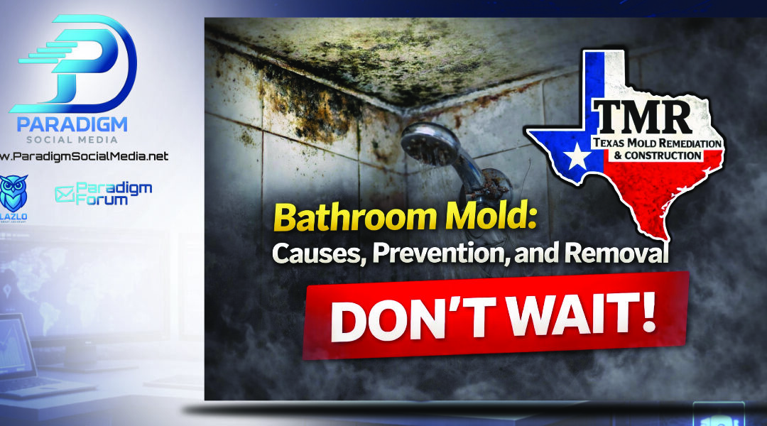 Bathroom Mold: Causes, Prevention, and Removal