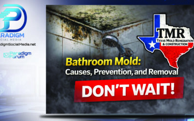 Bathroom Mold: Causes, Prevention, and Removal