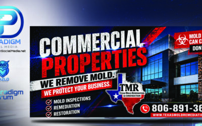 Commercial Mold Remediation Services for Businesses in Lubbock, Texas