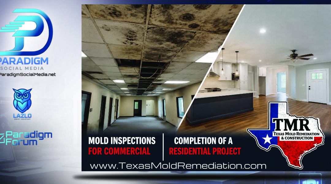 Commercial & Residential Mold Inspections 