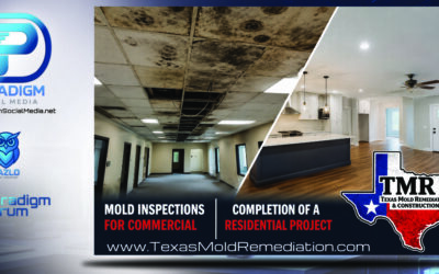 Commercial & Residential Mold Inspections 