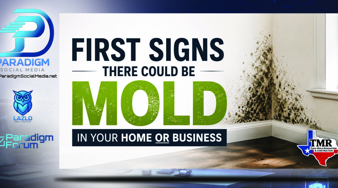 First Signs There Could Be Mold in Your Home or Business