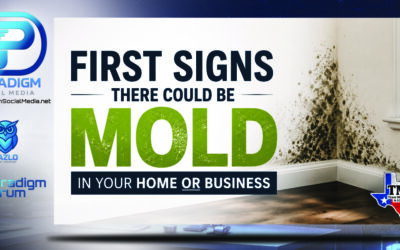 First Signs There Could Be Mold in Your Home or Business